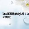 功夫派石猴能进化吗（功夫派猴子技能）