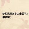 梦幻兄弟名字大全霸气（梦幻兄弟名字）