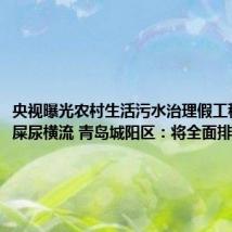 央视曝光农村生活污水治理假工程致街巷屎尿横流 青岛城阳区:将全面排查