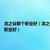 龙之谷那个职业好（龙之谷哪个职业好）