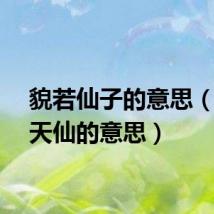 貌若仙子的意思（貌若天仙的意思）