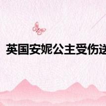英国安妮公主受伤送医