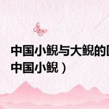 中国小鲵与大鲵的区别（中国小鲵）