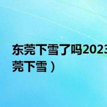 东莞下雪了吗2023（东莞下雪）