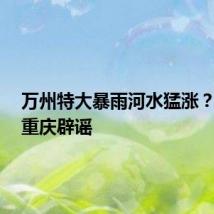 万州特大暴雨河水猛涨?谣言!重庆辟谣