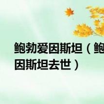 鲍勃爱因斯坦（鲍勃爱因斯坦去世）