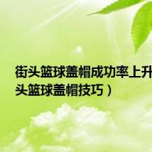 街头篮球盖帽成功率上升1（街头篮球盖帽技巧）