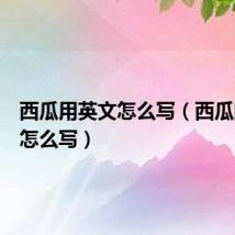 西瓜用英文怎么写（西瓜的英文怎么写）