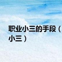 职业小三的手段（职业小三）