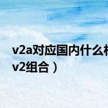 v2a对应国内什么材料(v2组合)
