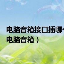 电脑音箱接口插哪个孔（电脑音箱）