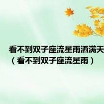 看不到双子座流星雨洒满天际歌词（看不到双子座流星雨）