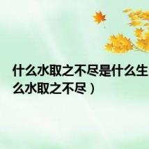 什么水取之不尽是什么生肖(什么水取之不尽)