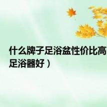 什么牌子足浴盆性价比高(哪种足浴器好)