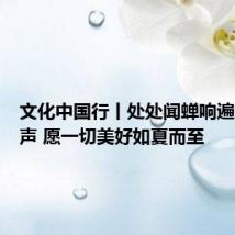 文化中国行丨处处闻蝉响遍地听蛙声 愿一切美好如夏而至