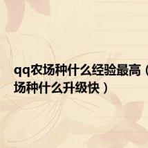qq农场种什么经验最高（qq农场种什么升级快）
