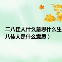 二八佳人什么意思什么生肖（二八佳人是什么意思）