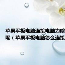 苹果平板电脑连接电脑为啥不显示呢（苹果平板电脑怎么连接电脑）