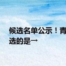 候选名单公示！青海入选的是→