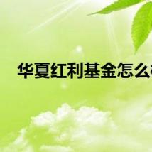 华夏红利基金怎么样