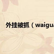外挂被抓（waigua）