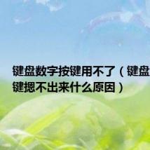 键盘数字按键用不了(键盘的数字键摁不出来什么原因)