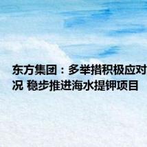东方集团:多举措积极应对财务状况 稳步推进海水提钾项目