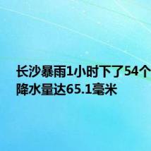 长沙暴雨1小时下了54个西湖:降水量达65.1毫米