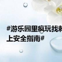 #游乐园里疯玩找刺激带上安全指南#
