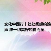 文化中国行丨处处闻蝉响遍地听蛙声 愿一切美好如夏而至
