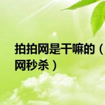 拍拍网是干嘛的（拍拍网秒杀）