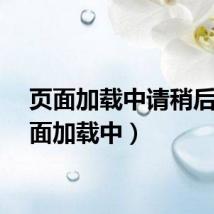 页面加载中请稍后（页面加载中）