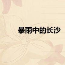 暴雨中的长沙