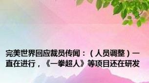 完美世界回应裁员传闻：（人员调整）一直在进行，《一拳超人》等项目还在研发