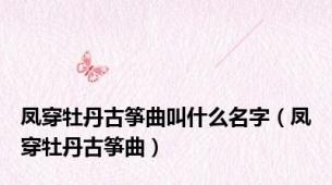 凤穿牡丹古筝曲叫什么名字（凤穿牡丹古筝曲）
