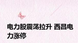 电力股震荡拉升 西昌电力涨停