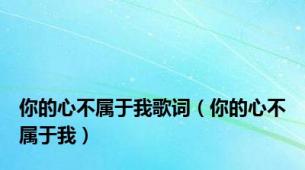 你的心不属于我歌词（你的心不属于我）