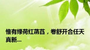 惟有绿荷红菡萏，卷舒开合任天真新...