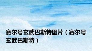 赛尔号玄武巴斯特图片（赛尔号玄武巴斯特）