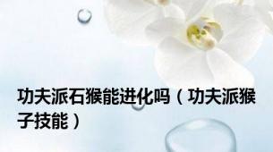 功夫派石猴能进化吗（功夫派猴子技能）