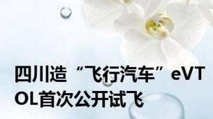 四川造“飞行汽车”eVTOL首次公开试飞