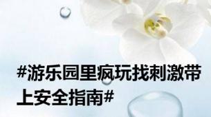 #游乐园里疯玩找刺激带上安全指南#