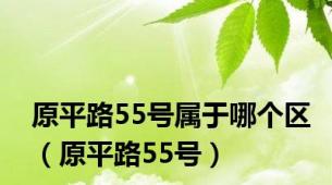 原平路55号属于哪个区（原平路55号）