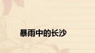 暴雨中的长沙