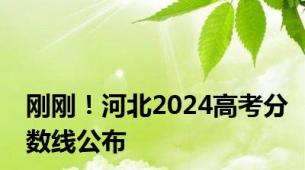 刚刚！河北2024高考分数线公布