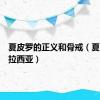 夏皮罗的正义和骨戒（夏皮罗格拉西亚）
