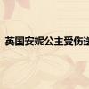 英国安妮公主受伤送医
