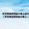 梦见老鼠爬到自己身上是什么预兆（梦见老鼠爬到自己身上）