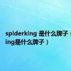 splderklng 是什么牌子（spalding是什么牌子）