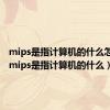 mips是指计算机的什么怎么算（mips是指计算机的什么）